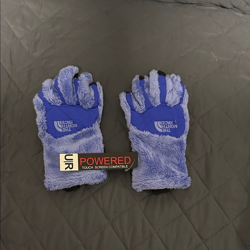 The North Face Royal Blue Fleece Gloves